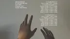 Hand Tracking Streamer screenshot 3