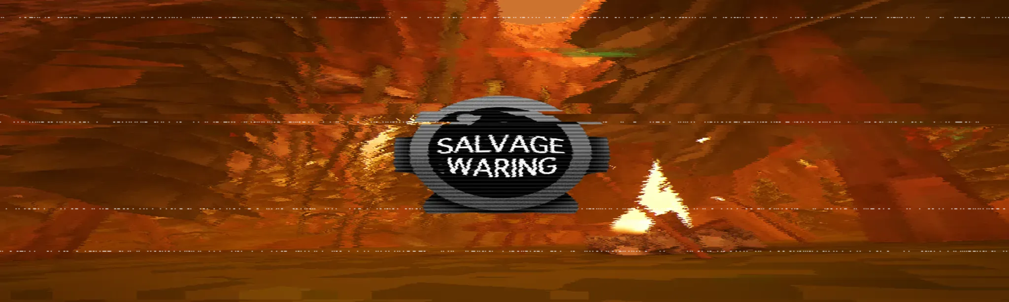 Salvage Warning