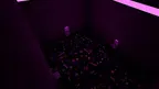Monkey massacre 2.0 screenshot 5