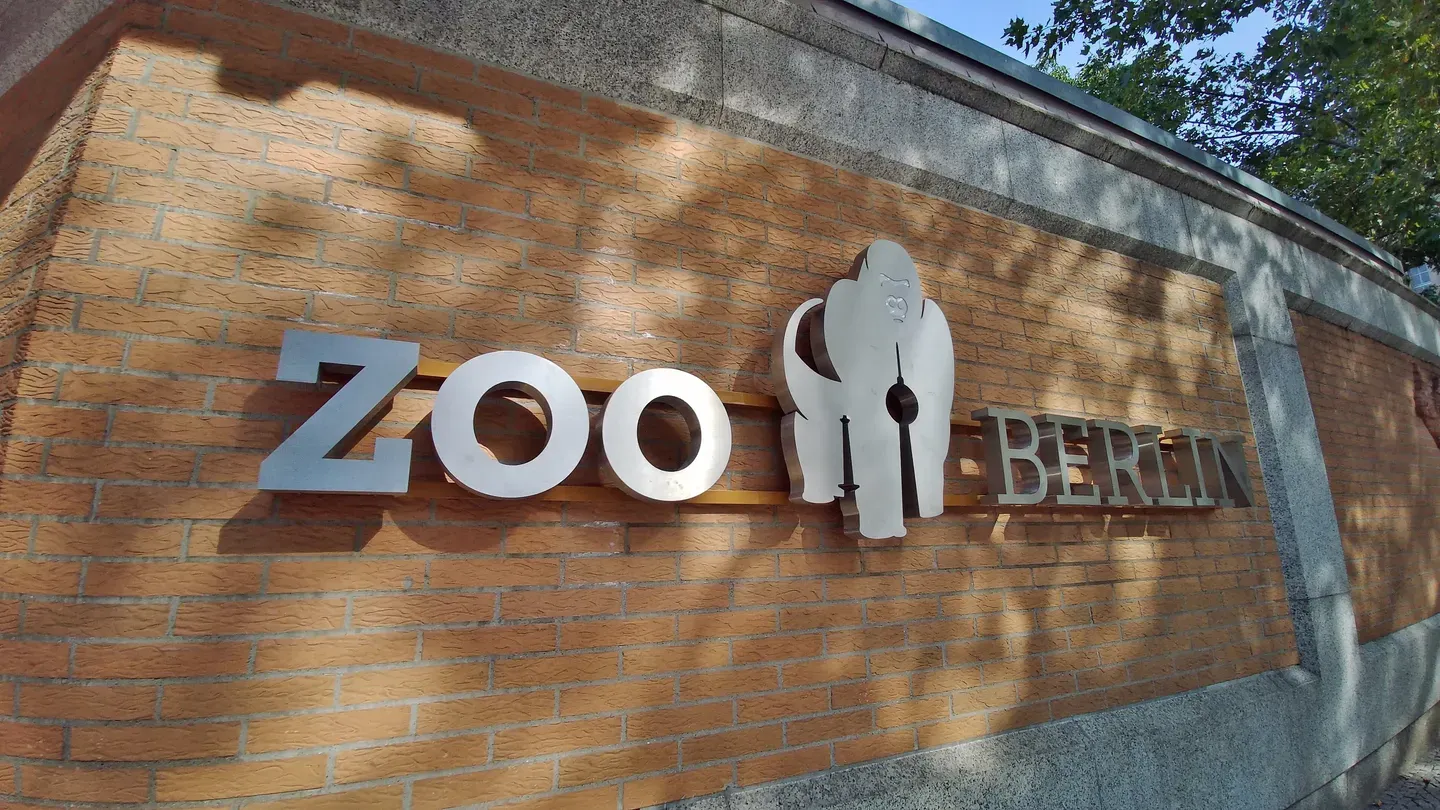 Aquariums Berlin trailer 0