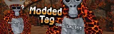 Modded Tag hero image