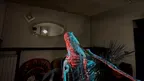 HAUNTED: Are You Alone? screenshot 4