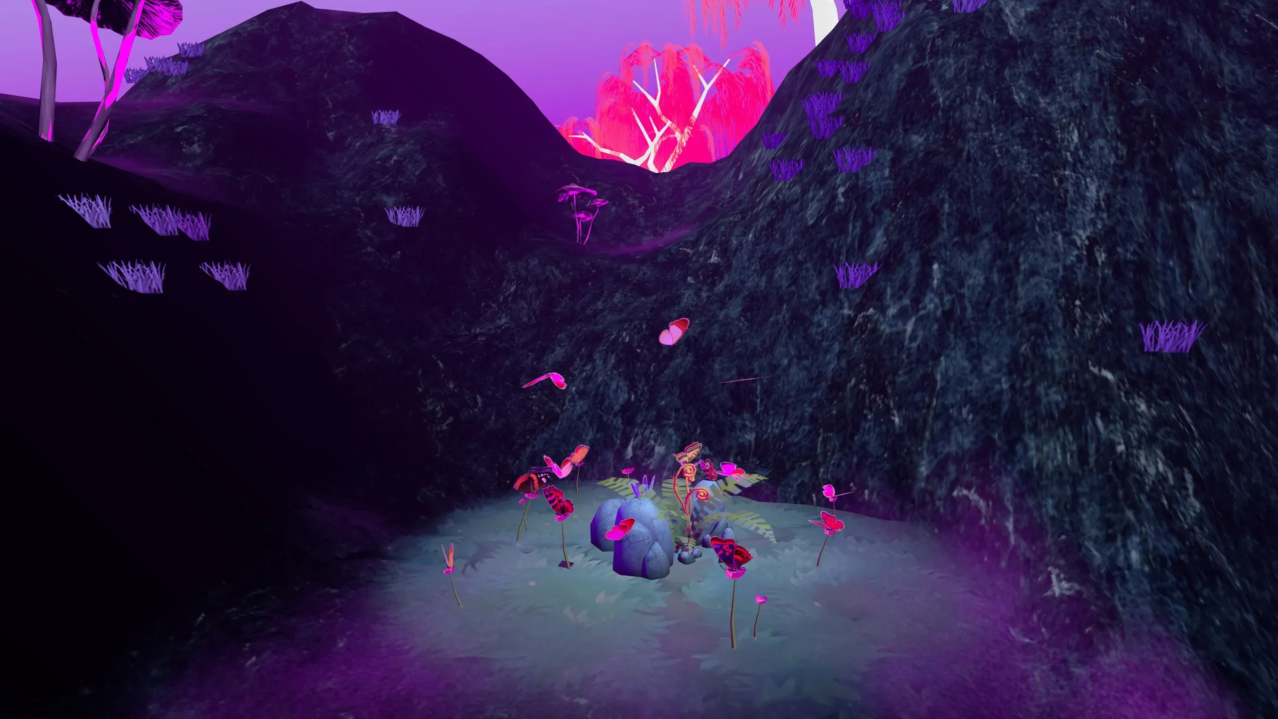 {"height":1440,"type":"image","width":2560}