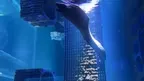3D Aquarium Nausicaä Centre National.. screenshot 3