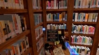 Lanier Theological Library screenshot 1