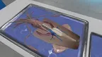 Dissection Simulator: Invertebrate Edition screenshot 5