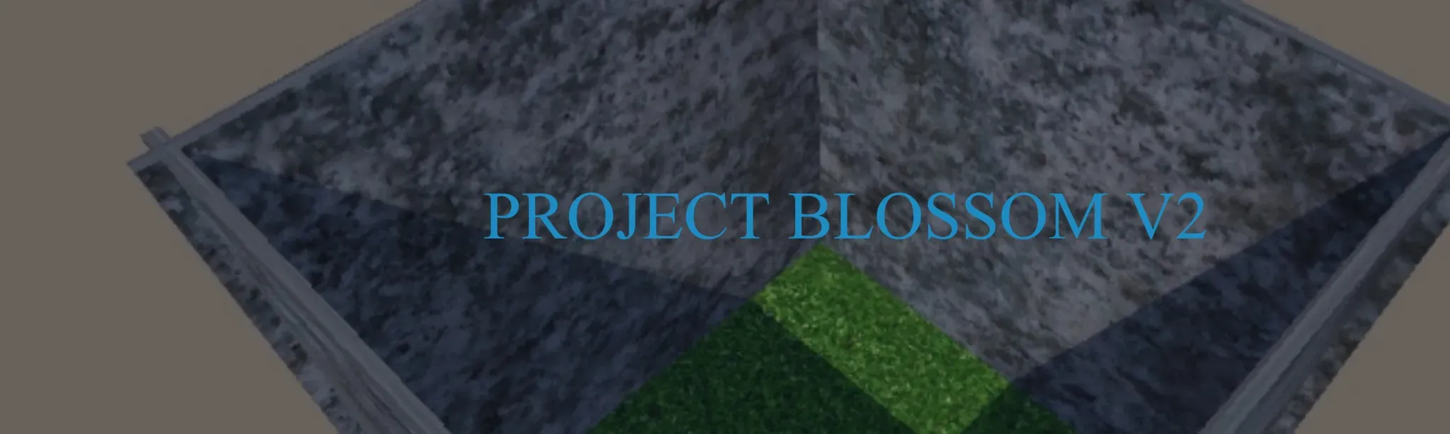 PROJECT BLOSSOM V2