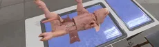 Dissection Simulator: Pig Edition hero image