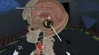 syGlass Learn screenshot 5