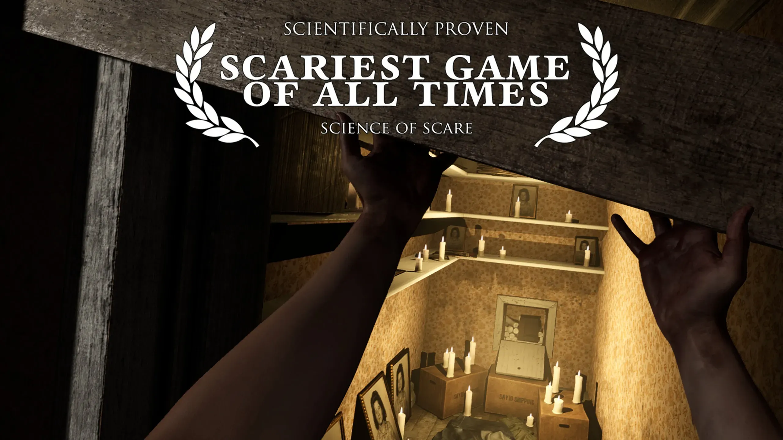 {"height":1440,"type":"image","width":2560}