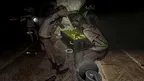 Deadly Delivery screenshot 4