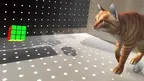 Cube Puzzle XR - with Tutorial and Timer screenshot 3