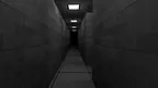 Nightmare Monke screenshot 3