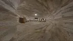 RTX Gorilla Tag screenshot 0