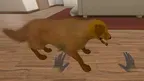 My puppy: Brown Labrador screenshot 2