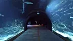 Aquariums on the Baltic Sea screenshot 4