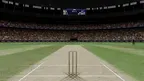 Irusu Cricket VR screenshot 2