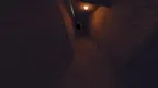Chimps Horror screenshot 2
