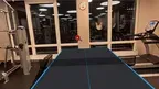 Eleven Table Tennis screenshot 2
