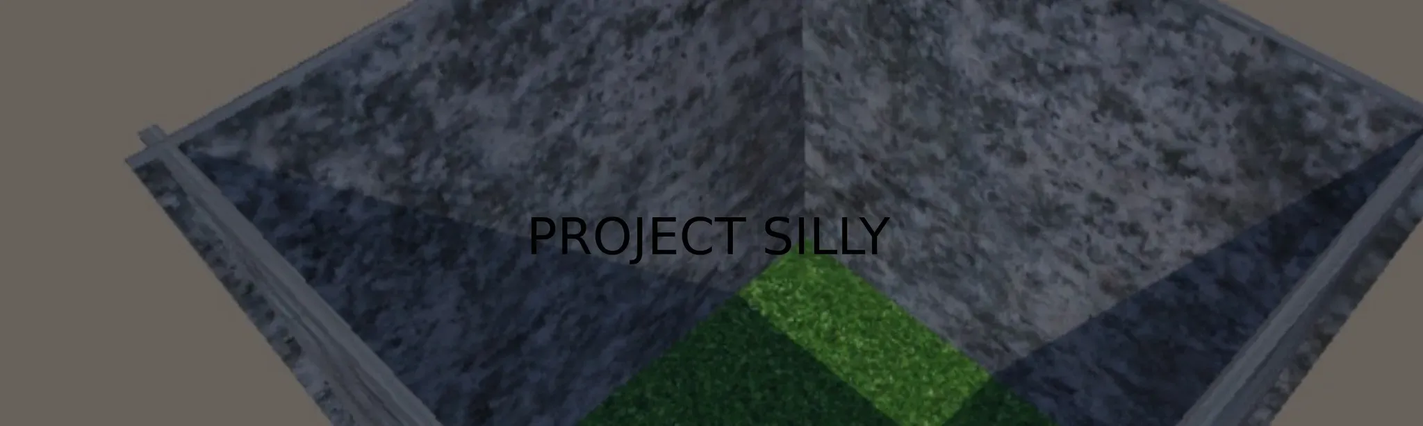 Project Silly