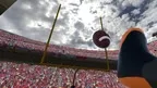 Football Pro: American League VR Edition screenshot 3