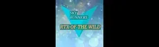 SKY RUNNERS hero image