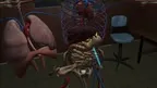 Human Anatomy Puzzle screenshot 4