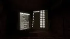ScaryChimpss screenshot 1