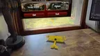 AR Dogfight: SPADs & Fokkers screenshot 3
