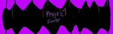 Project Junior hero image
