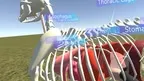 the anatomy of a dog screenshot 4