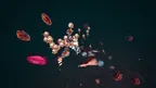 Pandora screenshot 1
