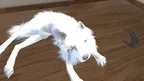 Mypuppy:ArcticFox screenshot 4