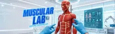 Anatomy Learning Labs: Muscular Lab hero image