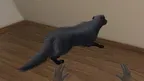 My puppy: Black Labrador screenshot 1