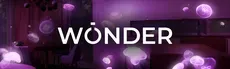 Wonder hero image
