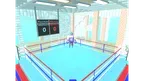 Virtual Knockout screenshot 2