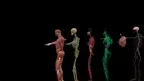 Human Anatomy VR – Medical Education screenshot 5