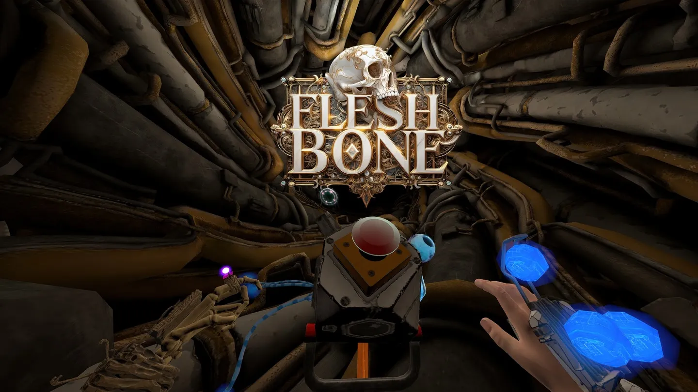 Flesh & Bone cover image