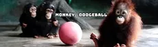 Monkey Dodgeball - Play VR Gun Shooting Games as a Monkey hero image