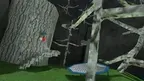 Lethal Ape Original screenshot 0