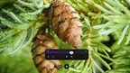 Commedia VR Video Player screenshot 1