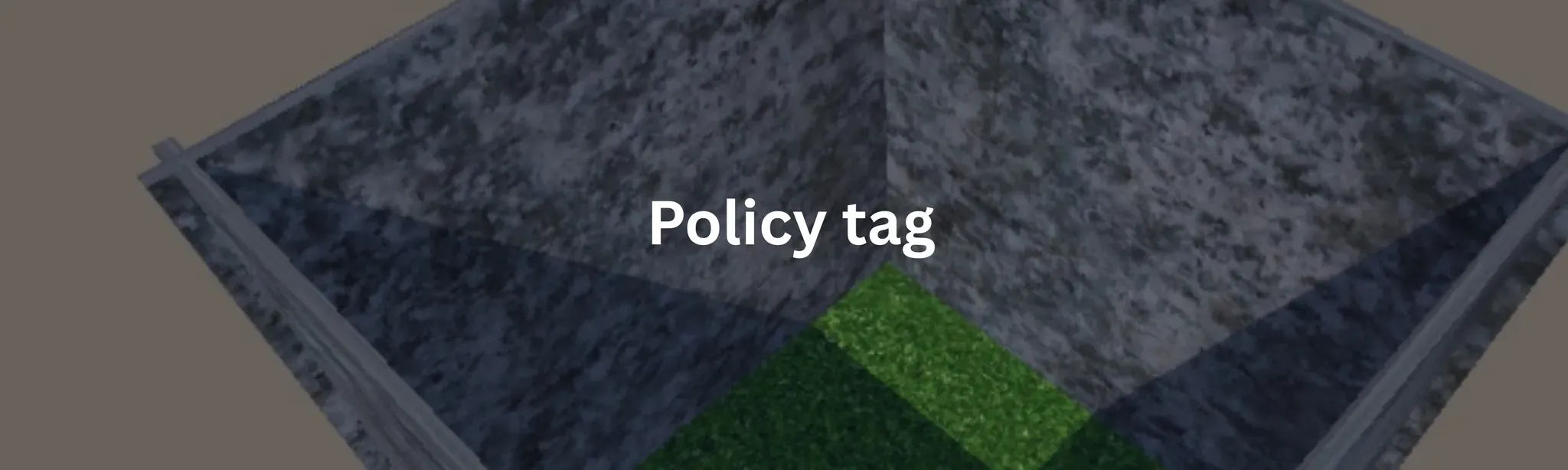 Policy tag