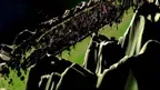 Wizards Realm screenshot 3
