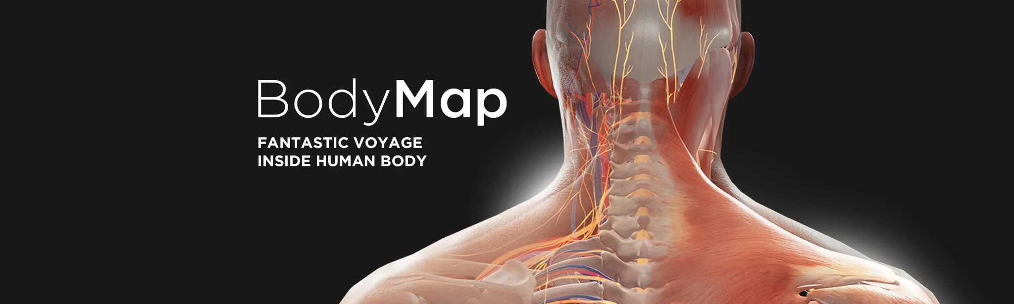 BodyMap for Anatomy and Medical Education