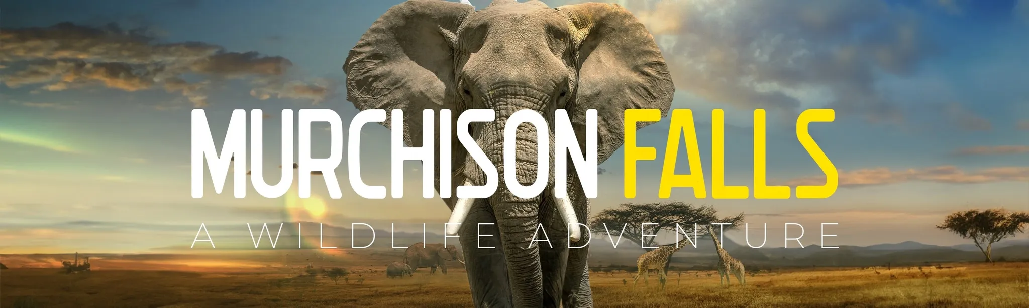 Murchison Falls: The Awarded Wildlife Adventure with Elephants, Lions and Hyenas