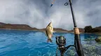 Fishing Simulator: Angler Clash screenshot 1