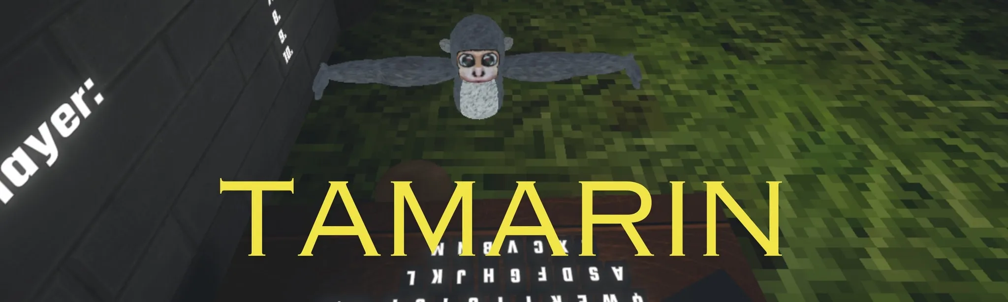 TamarinVR hero image
