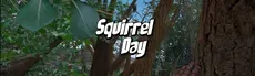 Squirrel Day hero image