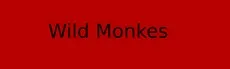 Wild Monkes hero image